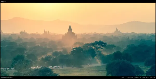 The temples of Bagan rising through golden morning mist.